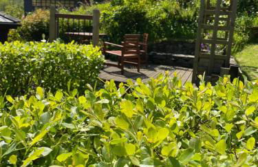 Cedar Lodge - Photo 27