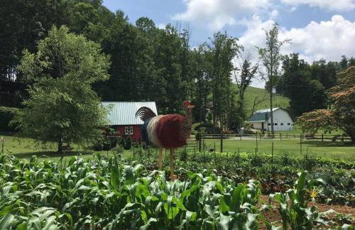 Barn Vibes + Petting Zoo + Hot Tub! - Foto 29