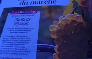 LE PETIT PRINCE du DESERT - Foto 30