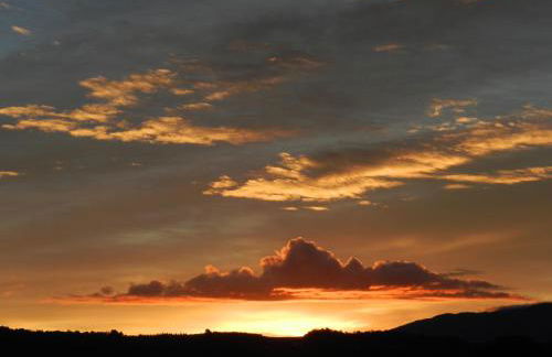 Maison d'artiste - Foto 11