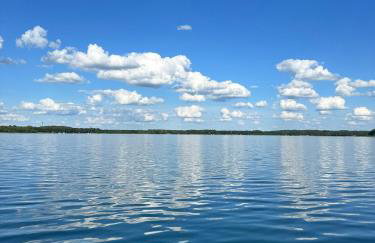 Domki w brzozach - Foto 59