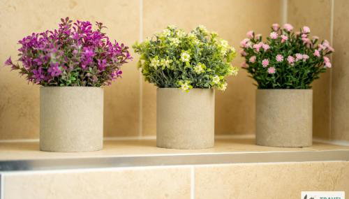 Ann's Home Near Alton Towers - Foto 4