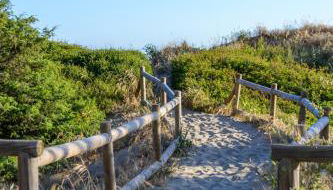 The Marbella Beachfront Gem - Photo 3