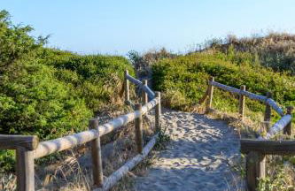 The Marbella Beachfront Gem - Photo 3