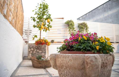 Palestro 5 - Foto 33