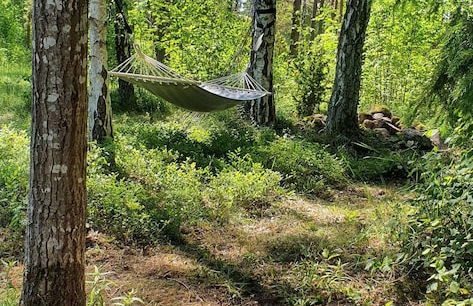 Well-equipped Beachside Cottage - Foto 64