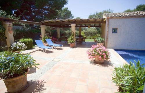 palma paradise - Foto 10