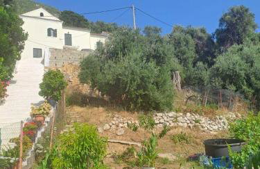 Ostriche House - Foto 12