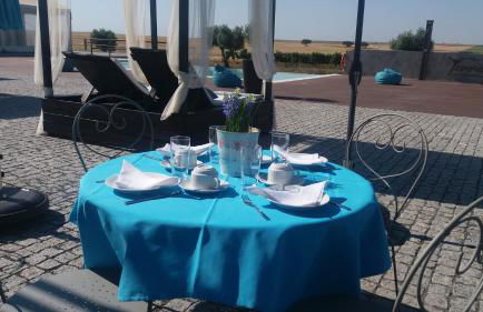 Terras - Agroturismo & Vinhos - Foto 15