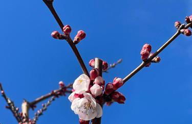 A Casa di Ale - Foto 31
