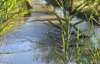 Camping La Loire Fleurie - Foto 29