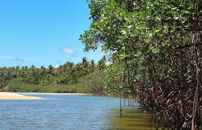 Casas Araras de Corumbau-piscina 5 Min da Praia - Foto 45