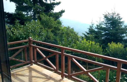 Elatos cozy Studio - Foto 23