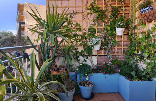 La Mata Apartment, Spain - Foto 27