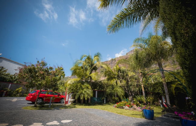 Quinta da Tia Briosa Casa da Av by Homie - Foto 34