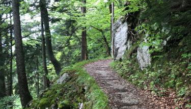 ciao-aschau Haus zur Burg Apartment Terrassenstüberl 113 - Foto 4