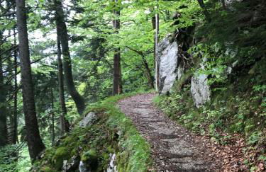 ciao-aschau Haus zur Burg Ap112 Burgblick - Foto 21