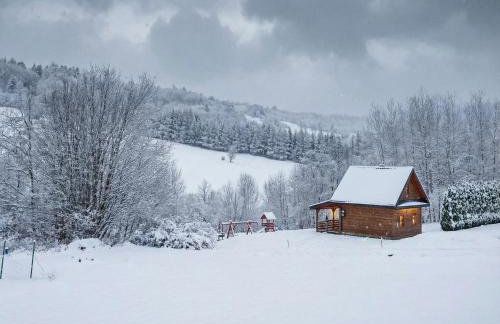 Bieszczady Żubrowe Wzgórze 785-049-543 - Foto 77