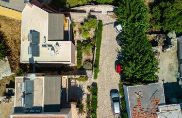 Bougainvillea - Foto 26