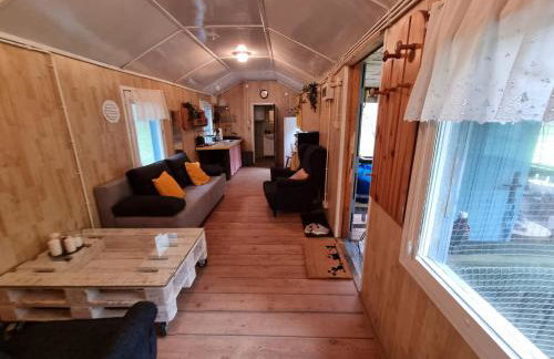 Dom Pod Brzozami Lipinki Bory Tucholskie basen - psy, koty mile widziane! - Photo 18