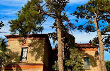 Loriet Hotel - Photo 137