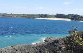 Chez Emile - Foto 49