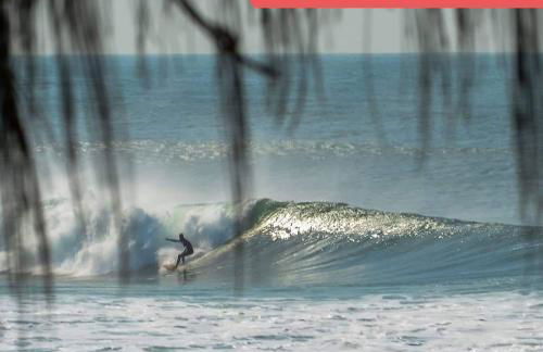 Casa em Florianópolis, Rio Vermelho, 2 quartos - Foto 24