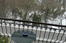 Forest view Aggeliki - Foto 26