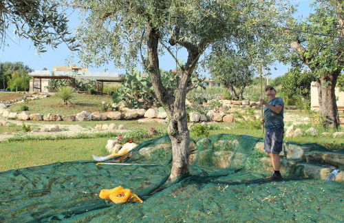 CASADORATA buen retiro vista mare - Foto 6