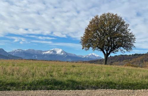 Monte Pino - Foto 51