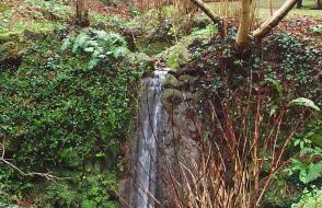 Il Bosco di Campo Marzano Nature Retreats - Foto 33