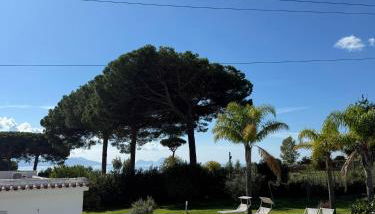 Vigna delle Rose - Foto 2, sunbed, Garden view