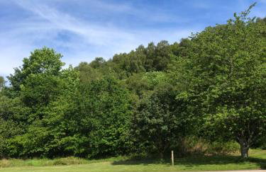 40 Glenfinart Caravan Park - Foto 24