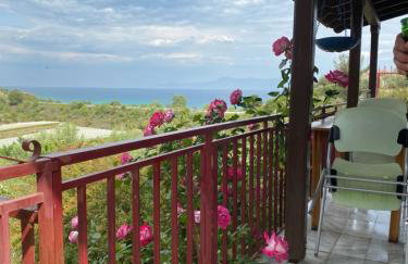 Real Holidays Antoniadou - Rustic House - Foto 40