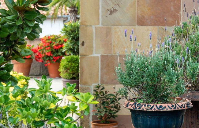 Costa Esmeralda Apartamentos - Foto 24