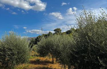 Quinta São José - Museu do Triciclo - Photo 53