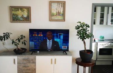 Pinienblick - Foto 4