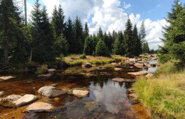 Przystanek Leszczyniec w Sudetach z jacuzzi - za dopłatą - Foto 27