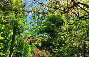 La Tonnelle - Foto 40