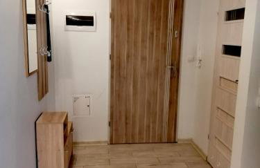 Nowoczesny apartament z dużym tarasem, 2 pokoje - Foto 12