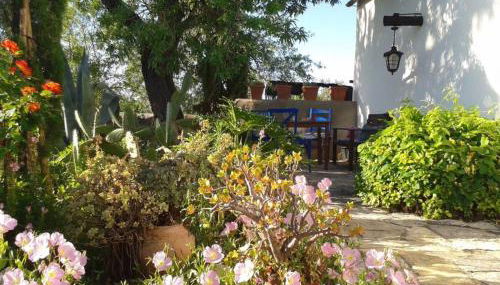 Casa Kamari - Foto 2, Garden view