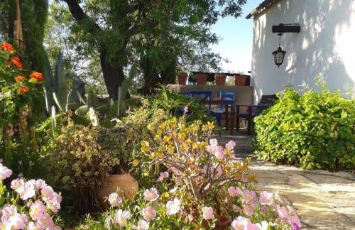 Casa Kamari - Foto 2