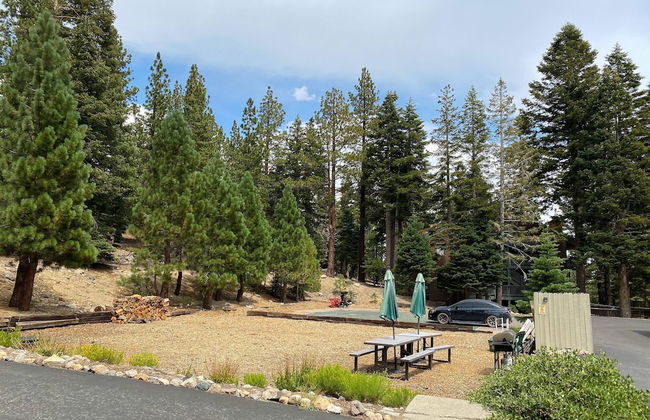 Hidden Valley Homestead - Near Hike/bike & More! - Foto 26