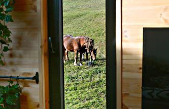 Domki Pod Cerkwią - Foto 31
