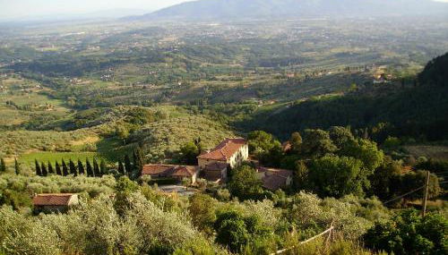 Fattoria Gambaro di Petrognano - Foto 4