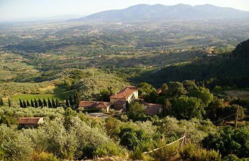 Fattoria Gambaro di Petrognano - Foto 4