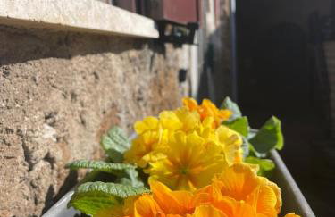 La casetta di Giogi - Foto 21