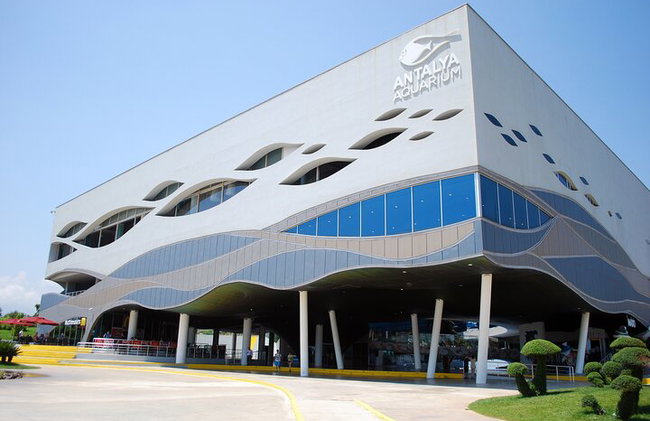 Alanya : Entrada al acuario de Antalya con traslado opcional - Foto 7