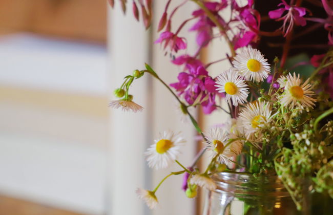 Chalet Merymont - Foto 15