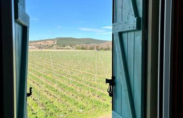 Charming House In An Organic Wine Estate - Foto 20